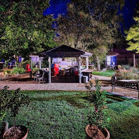Edlin House Ξενοδοχείο Bright Εξωτερικό φωτογραφία