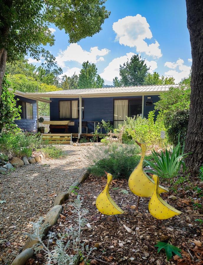 Edlin House Ξενοδοχείο Bright Εξωτερικό φωτογραφία