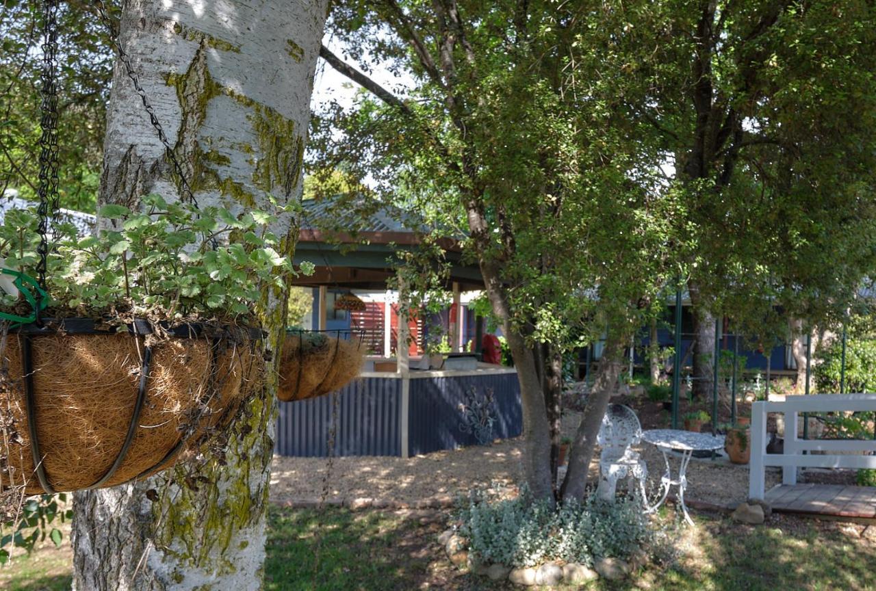 Edlin House Ξενοδοχείο Bright Εξωτερικό φωτογραφία